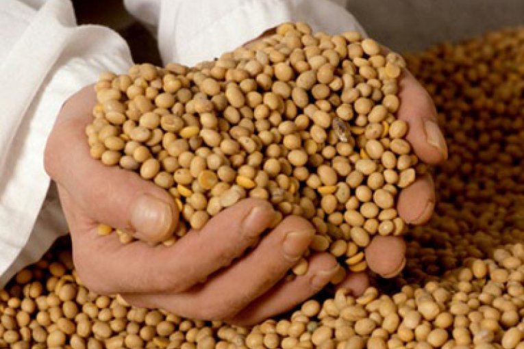 Se oficializ&oacute; la baja de retenciones a los productos agr&iacute;colas m&aacute;s exportados