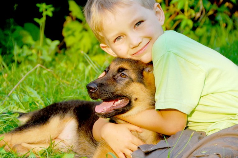 Conoc&eacute; el cronograma de castraciones gratuitas del 4 al 8 de mayo