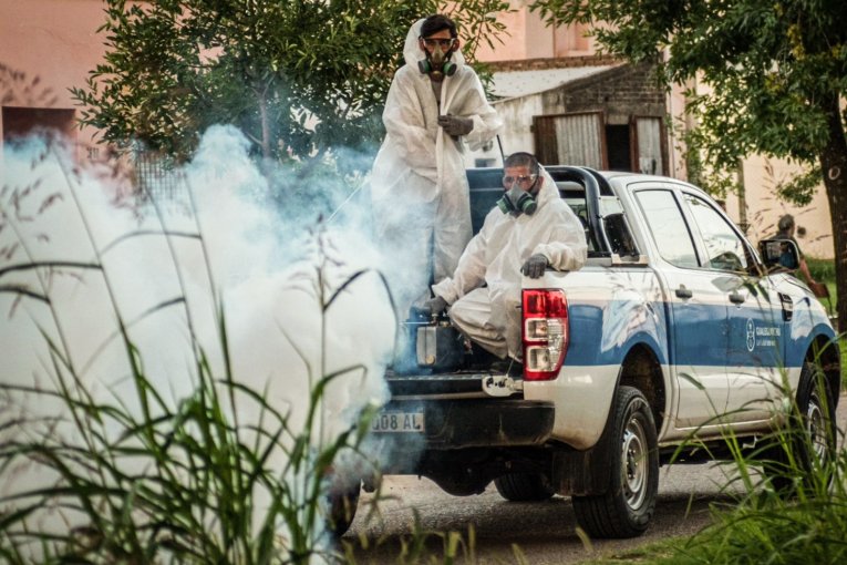 Crecen los casos de dengue en Argentina: la mayoría no presenta antecedentes de viaje