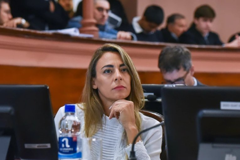 Presuntas coimas: Piden informe sobre el vínculo entre Provincia y Suizo Argentina