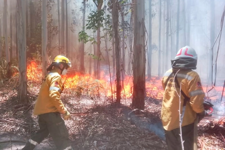 incendio afecta varias hect&aacute;reas del sur del departamento Concordia