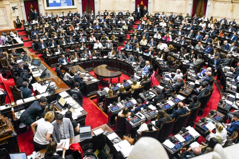 Escándalo en Diputados: empujones y agresiones en plena sesión