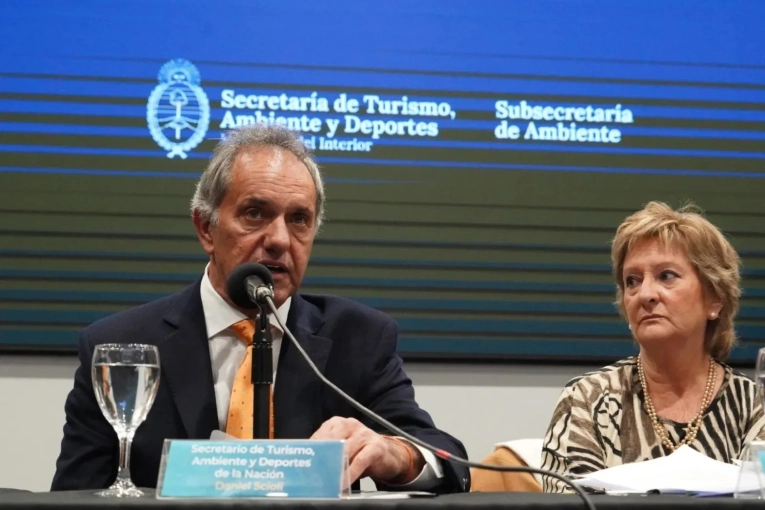 En medio de los incendios, renunció la subsecretaria de Ambiente, Ana Lamas