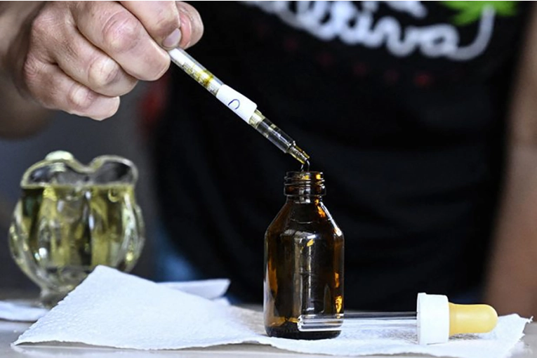 ¿Bajan el Reprocann?: “La prohibición solo funciona para el negocio de unos pocos”