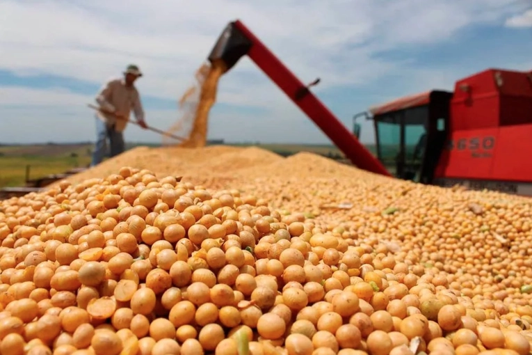Dirigentes del agro, en alerta por el anuncio de Milei sobre retenciones