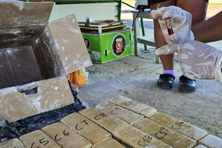 Secuestran más de 112 kilos de marihuana ocultos en encomiendas en Entre Ríos