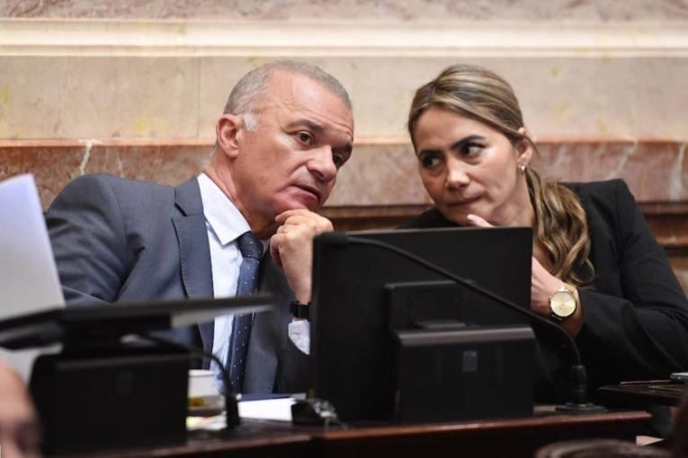 Ficha Limpia: el proyecto que cayó por dos votos sorpresivos