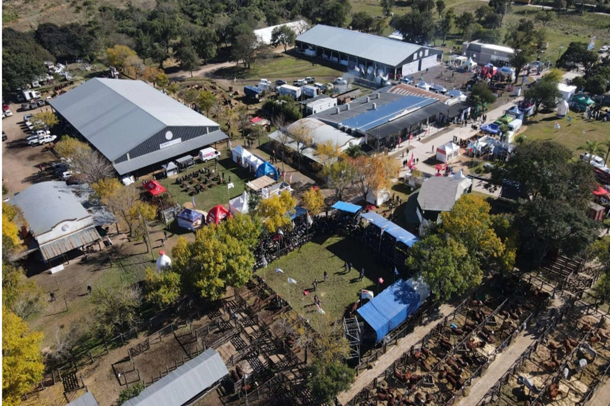 Nacionales: lunes 26 y hasta el 30 de mayo