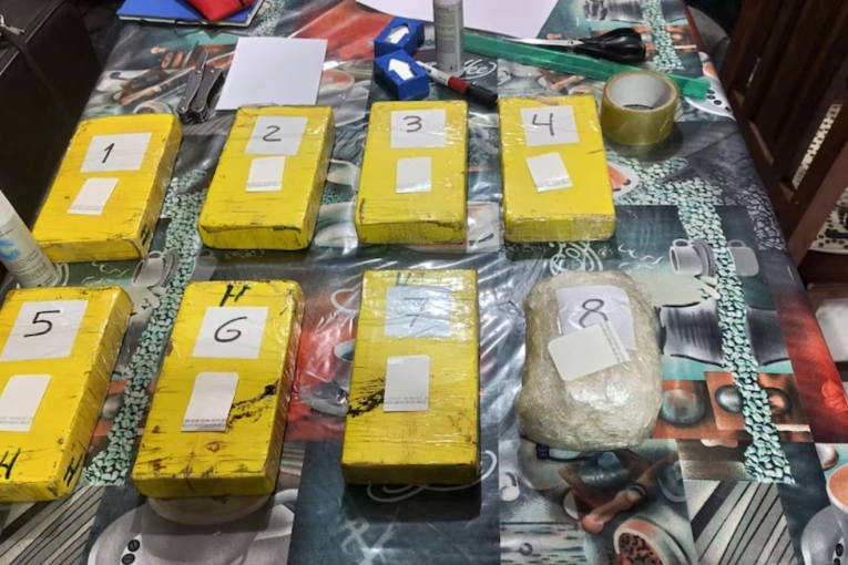 Cayó una pareja con más de 10 kilos de cocaína con el sello del delfín
