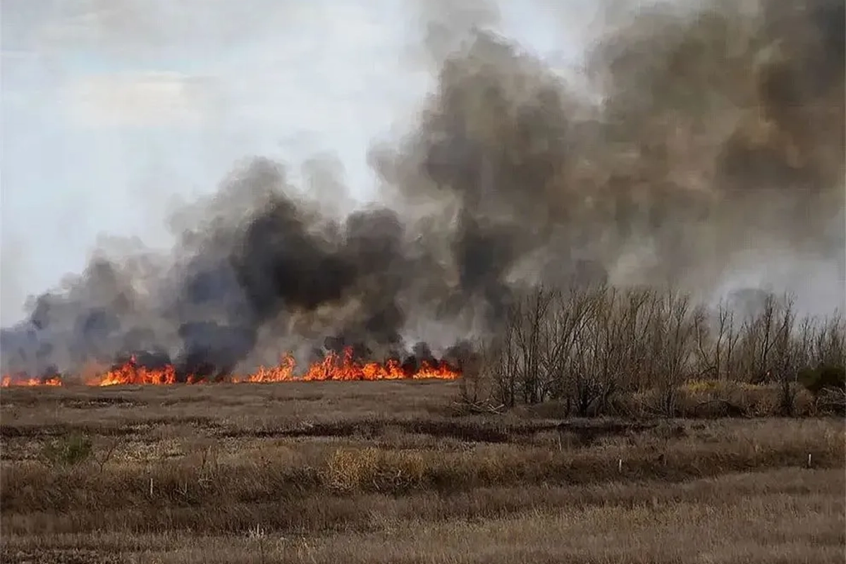 El incendio tuvo consecuencias ambientales graves