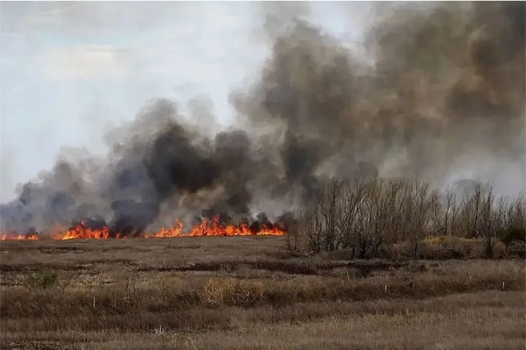 Fiscalía pidió condena efectiva para apicultores acusados de incendio en el Delta