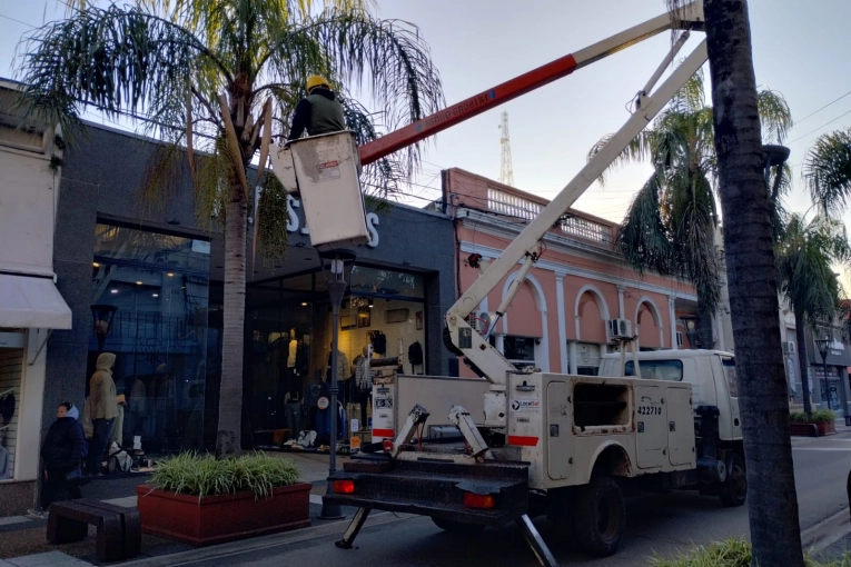 Contin&uacute;a el mantenimiento del arbolado urbano sobre calle 25 de Mayo