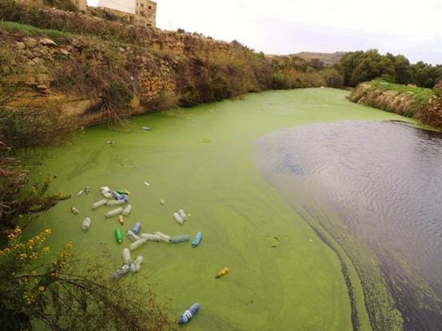El r&iacute;o Danubio transporta anualmente 1.533 toneladas de residuos contaminantes al Mar Negro