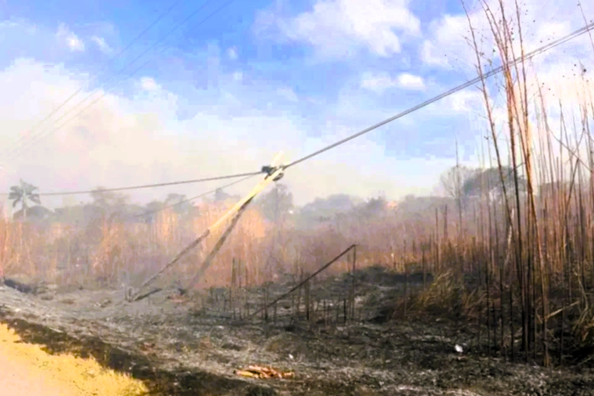 Brigadistas enfrentan el fuego en Jujuy