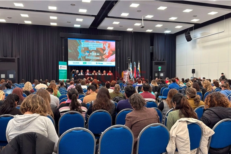 Mutualismo escolar: sembrar valores para transformar la sociedad