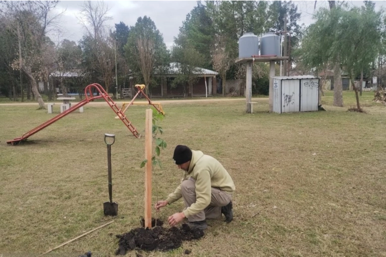 Plantaron 21 nuevos árboles en los barrios Don Pedro y Toto Irigoyen