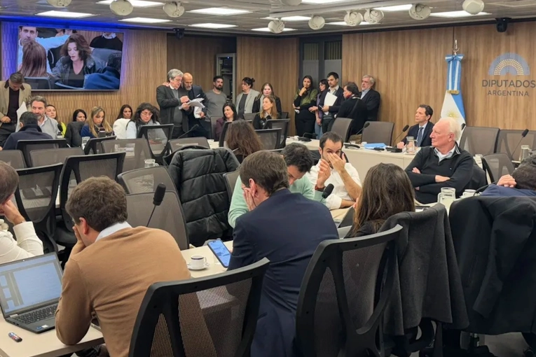 Se destrab&oacute; la comisi&oacute;n investigadora de $LIBRA en Diputados