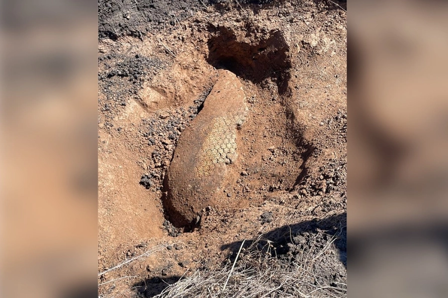 El caparaz&oacute;n hallado en la zona de L&iacute;baros