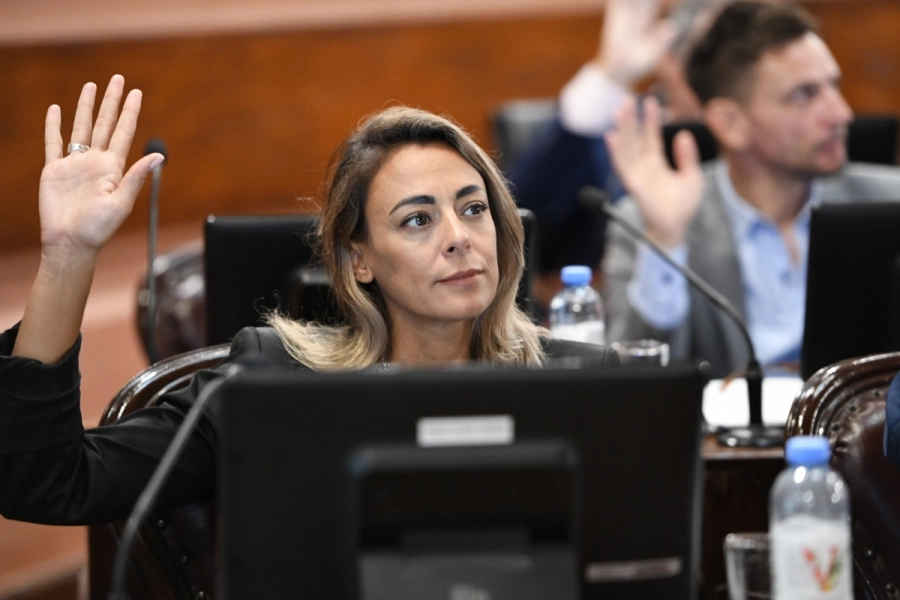 Diputada de Uni&oacute;n por la Patria-M&aacute;s para Entre R&iacute;os, Lorena Arrozogaray