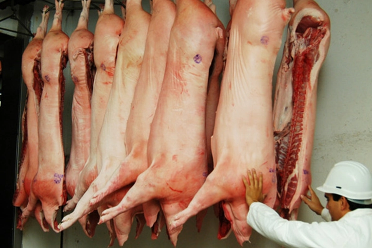 Cerdo entrerriano en peligro: productores exigen acción ante la invasión de productos brasileños