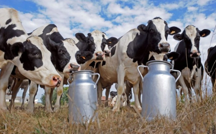 El precio de la leche est&aacute; estancado y ha sufrido dos bajas importantes