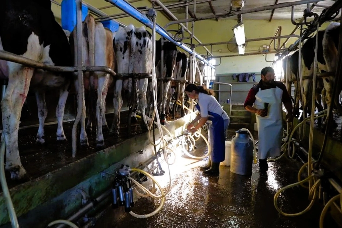 Verde en producci&oacute;n y amarillo en lo econ&oacute;mico