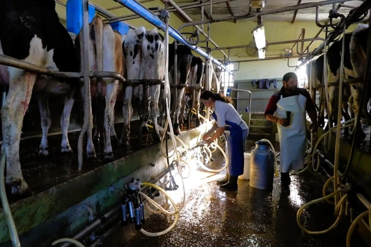 El sector lácteo entrerriano advierte estar en rojo financiero y sin respaldo estructural