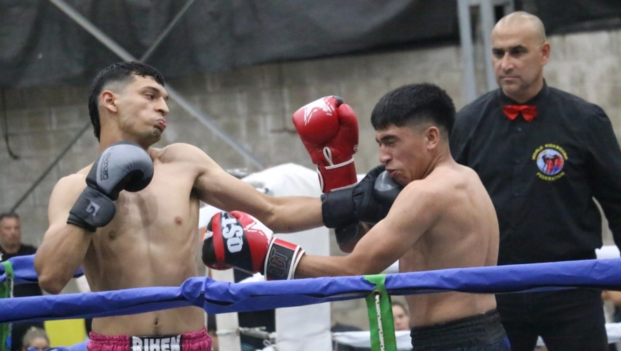 El boxeo y el kickboxing como protagonistas