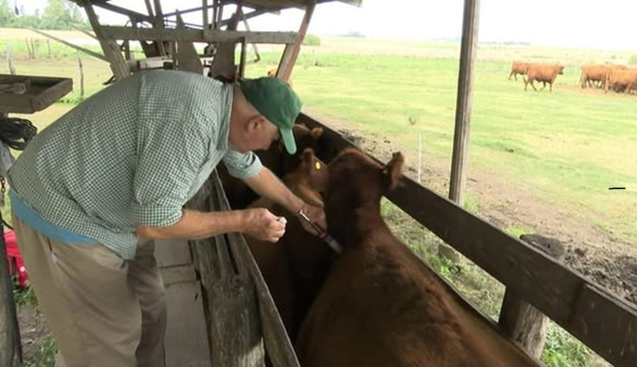 La problem&aacute;tica de la garrapata fue otro tema clave, con 1.025 focos registrados en Entre R&iacute;os
