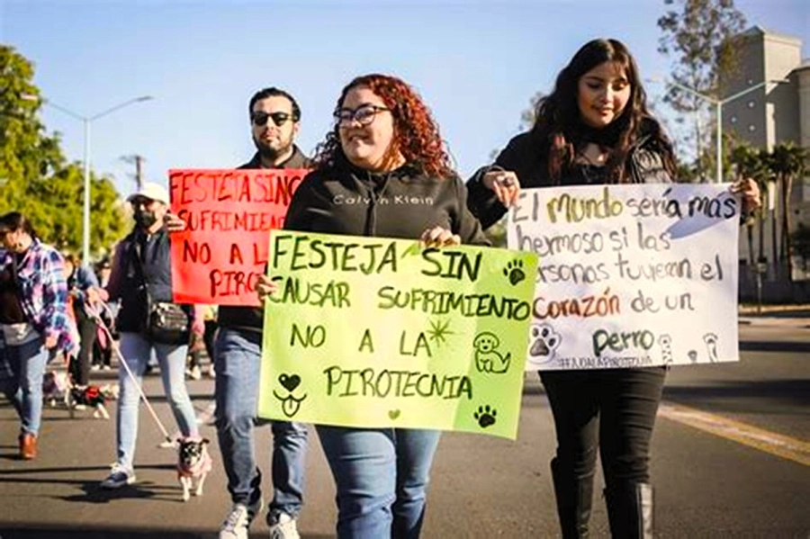 La ordenanza existe, pero sin voluntad pol&iacute;tica y sin controles efectivos