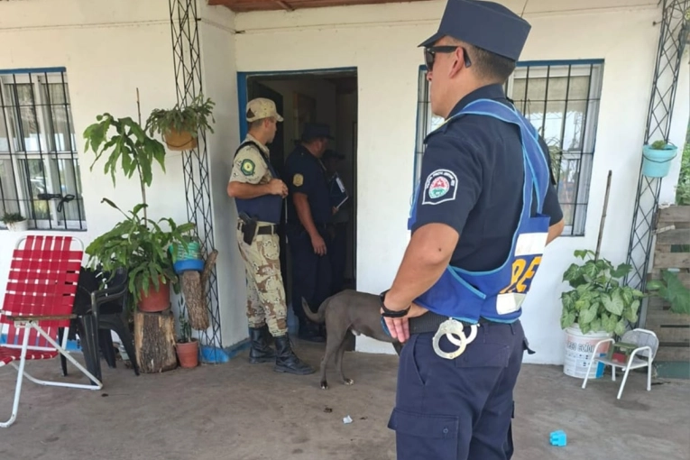 Tres operativos contra el abigeato en Entre R&iacute;os en menos de 48 horas