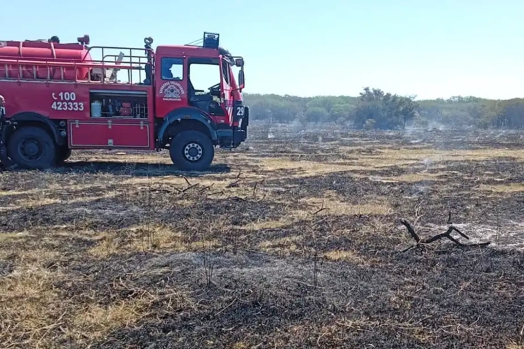 Alerta sequ&iacute;as: dos incendios de campo movilizaron a los Bomberos en Gualeguaych&uacute;