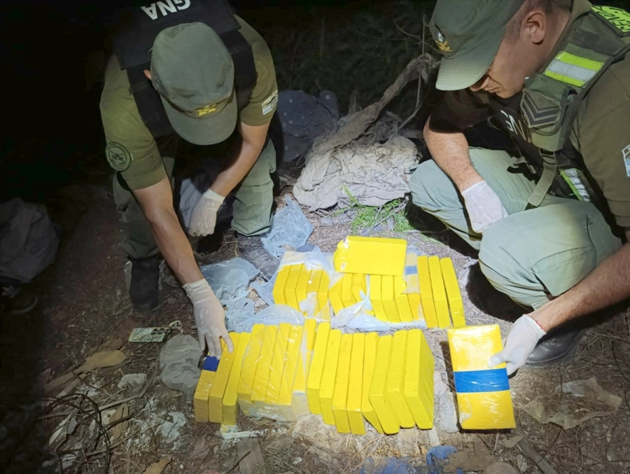 <i>En un cami&oacute;n cargado con bananas descubrieron 16 &ldquo;ladrillos&rdquo; de la sustancia estupefaciente</i>