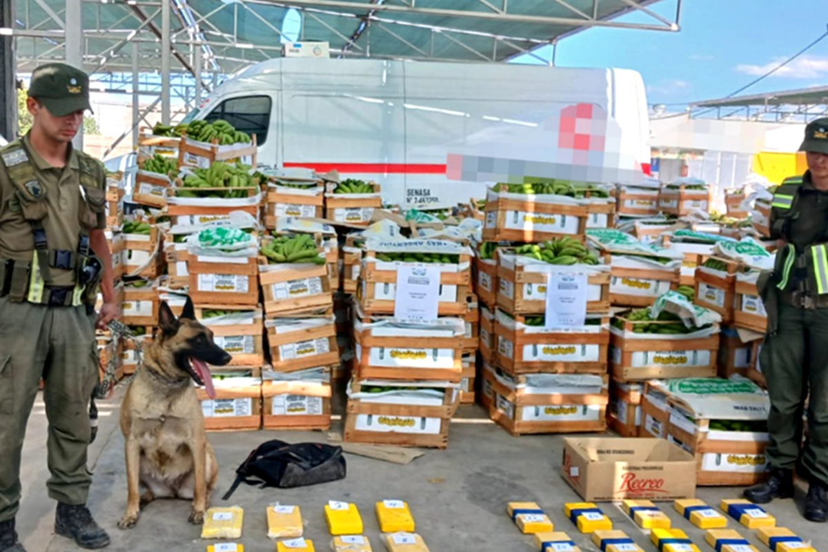 Decomisaron m&aacute;s de 63 kilos de coca&iacute;na en San Juan