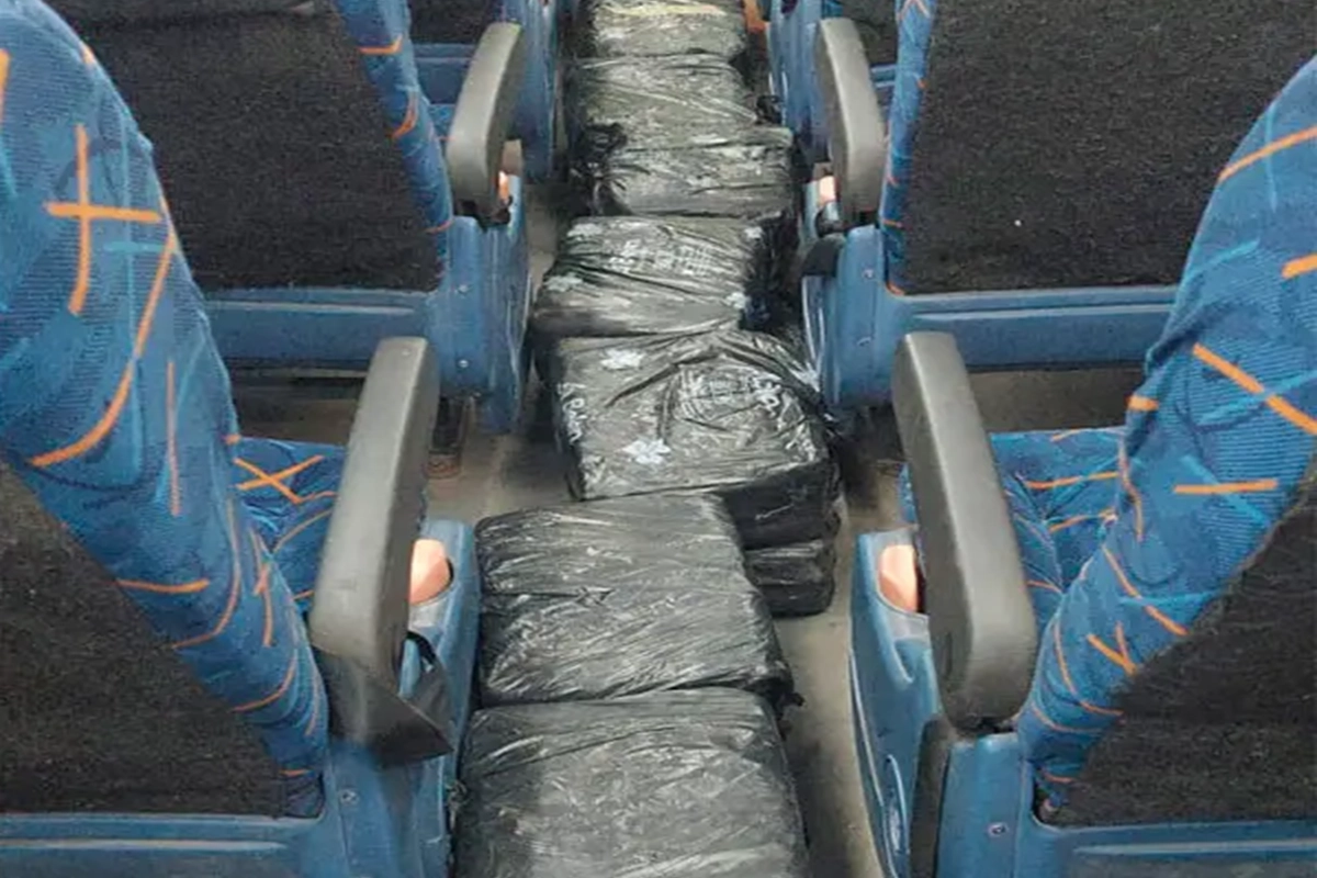 Cargamento oculto en un &oacute;mnibus de larga distancia