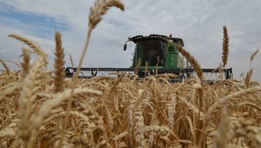 <i>Cuando una planta se enferma hay que aplicar un fungicida para controlar la enfermedad Hoy el mundo agr&iacute;cola ya no se maneja as&iacute;</i>
