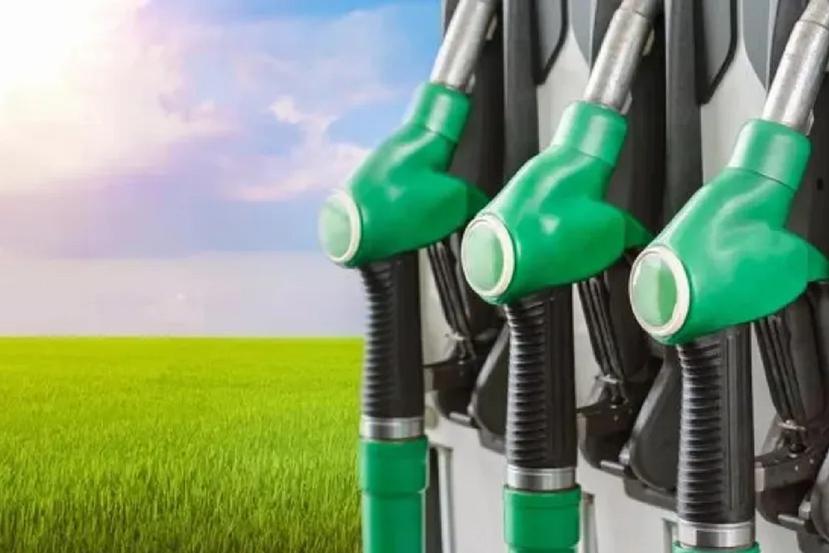 La soja como cultivo de "alto riesgo"