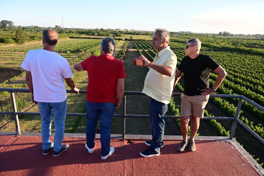 Scioli fue recibido en el vi&ntilde;edo Las Magnolias