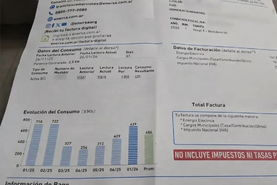 <i>La boleta de energ&iacute;a se compone de tres elementos: el VAD, los impuestos y tasas, y el precio mayorista definido por la Naci&oacute;n</i>