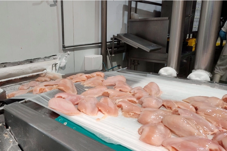 Europa vuelve a abrir sus puertas a la carne aviar argentina