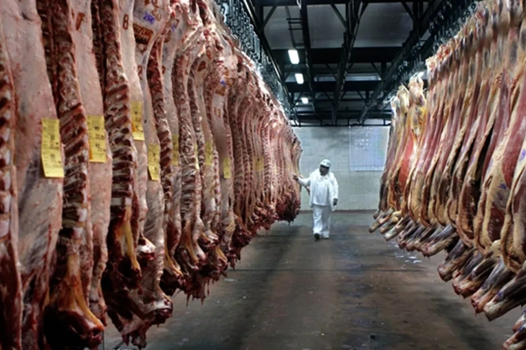 &ldquo;Paty&rdquo; ech&oacute; a casi 200 empleados y paraliz&oacute; sus plantas en La Pampa