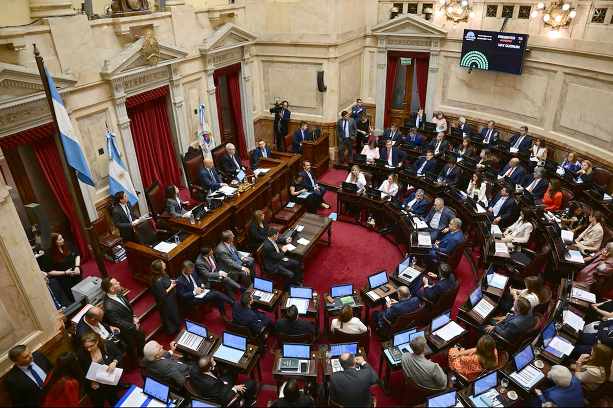 Sesi&oacute;n plenaria del Senado argentino