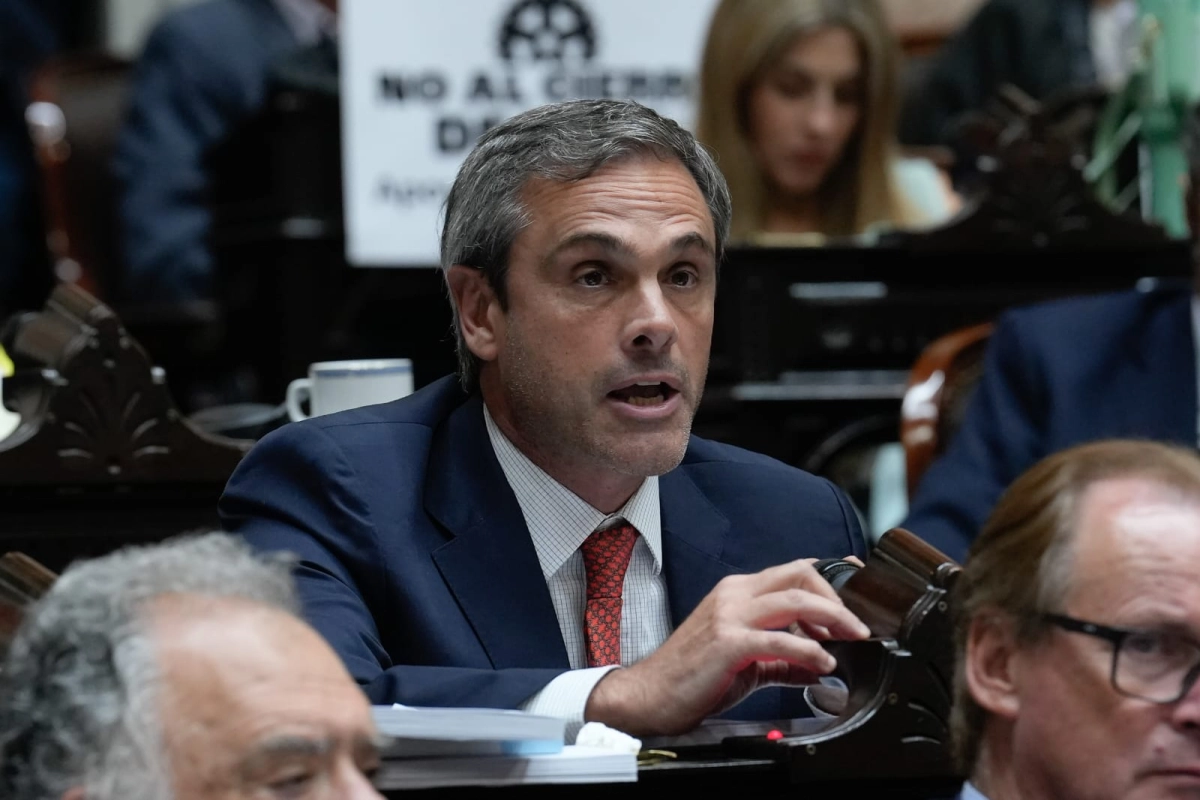 Guillermo Michel, diputado nacional por Entre R&iacute;os