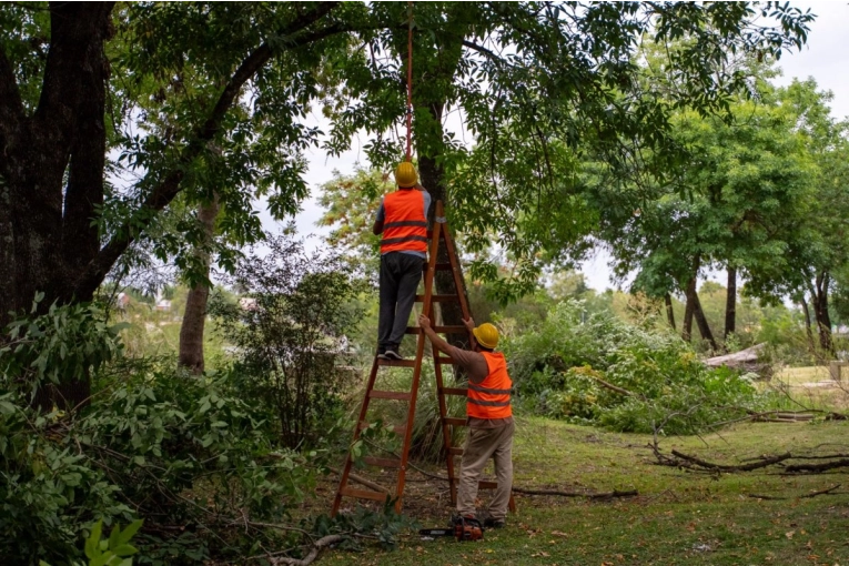 Limpieza y emprolijamiento suman seguridad al Camino de la Costa