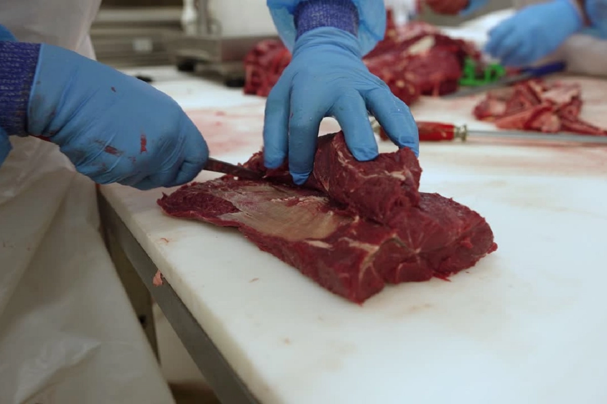 Programa: &ldquo;Carnicer&iacute;a Segura"