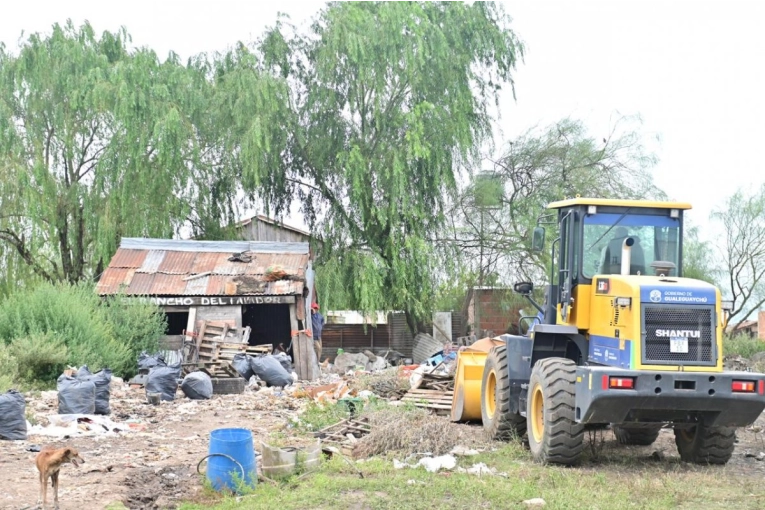 Erradicaron una chancher&iacute;a en la zona urbana de Gualeguaych&uacute;