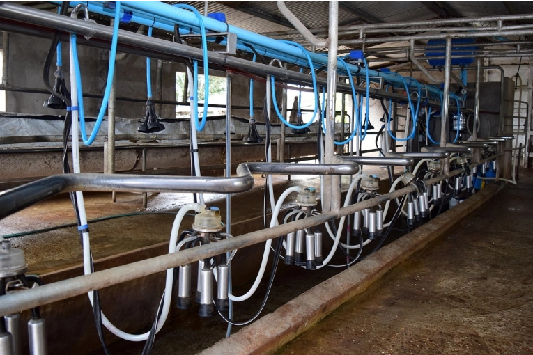 La provincia presenta nuevas l&iacute;neas de financiamiento para el sector productivo en Expoagro