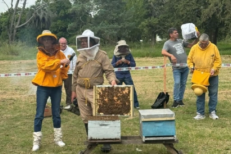 La 29&deg; Fiesta Nacional de la Apicultura y Expo Ap&iacute;cola del Mercosur se prepara en Maci&aacute;