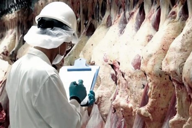 El sector de la carne entrerriana debate su futuro en un encuentro provincial