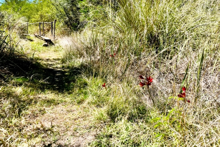 Invitan a visitar, disfrutar y cuidar las &Aacute;reas Naturales Protegidas de la ciudad